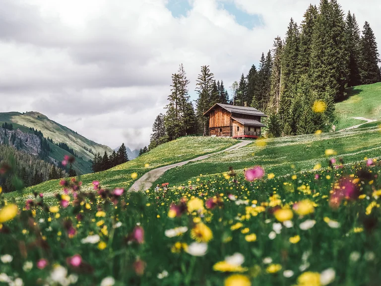 Aurora, Ihr Hotel in Lech am Arlberg Holzhaus auf einem Hügel mit Wildblumenwiese und Berglandschaft im Hintergrund