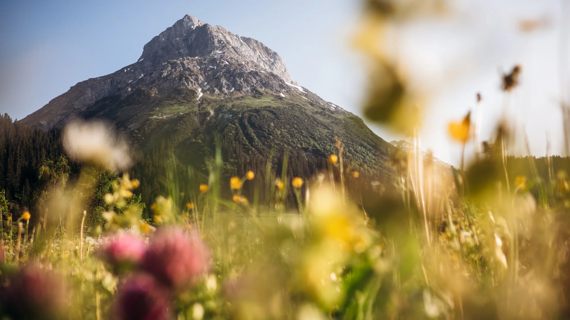 Aurora, Ihr Hotel in Lech am Arlberg Blumenwiese, Omeshorn, Lech-Zürs