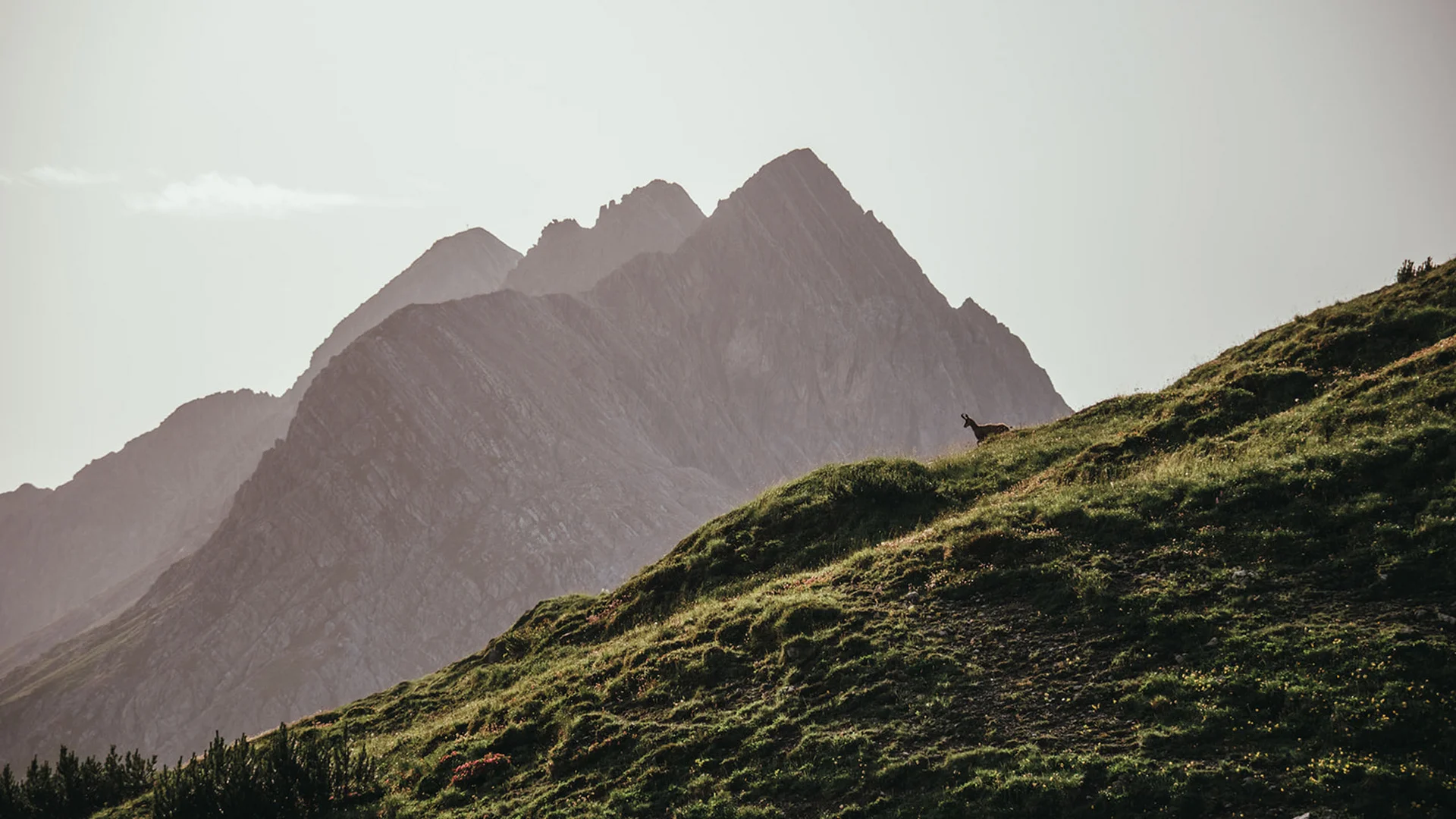 Aurora, Ihr Hotel in Lech am Arlberg Aurora, Ihr Hotel in Lech am Arlberg